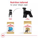 Royal Canin Puppy Dry Dog Food - Miniature Schnauzer Breed Health Nutrition, 2.5 lb - Image 6