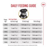 Royal Canin Puppy Dry Dog Food - Miniature Schnauzer Breed Health Nutrition, 2.5 lb - Image 8