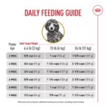 Royal Canin Puppy Dry Dog Food - Poodle Breed Health Nutrition, 2.5 lb - Image 10