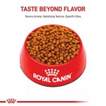 Royal Canin Puppy Dry Dog Food - Poodle Breed Health Nutrition, 2.5 lb - Image 2