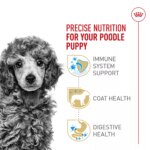 Royal Canin Puppy Dry Dog Food - Poodle Breed Health Nutrition, 2.5 lb - Image 3