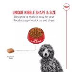 Royal Canin Puppy Dry Dog Food - Poodle Breed Health Nutrition, 2.5 lb - Image 4