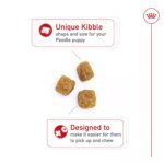 Royal Canin Puppy Dry Dog Food - Poodle Breed Health Nutrition, 2.5 lb - Image 5