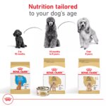 Royal Canin Puppy Dry Dog Food - Poodle Breed Health Nutrition, 2.5 lb - Image 7