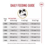 Royal Canin Puppy Dry Dog Food - Shih Tzu Breed Health Nutrition, 2.5 lb - Image 10
