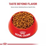Royal Canin Puppy Dry Dog Food - Shih Tzu Breed Health Nutrition, 2.5 lb - Image 2