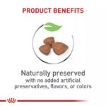 Royal Canin Puppy Dry Dog Food, Size Health Nutrition - X-Small Puppy - Image 3