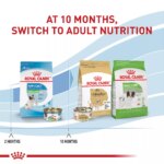 Royal Canin Puppy Dry Dog Food, Size Health Nutrition - X-Small Puppy - Image 6