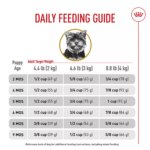 Royal Canin Puppy Dry Dog Food - Yorkshire Terrier Breed Health Nutrition, 2.5 lb - Image 10