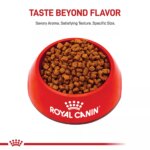 Royal Canin Puppy Dry Dog Food - Yorkshire Terrier Breed Health Nutrition, 2.5 lb - Image 2