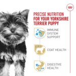 Royal Canin Puppy Dry Dog Food - Yorkshire Terrier Breed Health Nutrition, 2.5 lb - Image 3