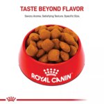 Royal Canin Size Health Nutrition Giant Breed Adult Dog Dry Food - 30 lb - Image 2