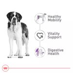 Royal Canin Size Health Nutrition Giant Breed Adult Dog Dry Food - 30 lb - Image 3