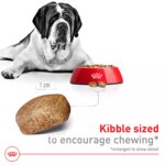 Royal Canin Size Health Nutrition Giant Breed Adult Dog Dry Food - 30 lb - Image 4