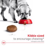 Royal Canin Size Health Nutrition Large Breed Adult 5+ Dog Dry Food - 30 lb - Image 4