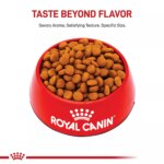 Royal Canin Size Health Nutrition Large Breed Adult Dry Dog Food - Image 2