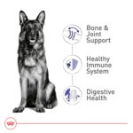 Royal Canin Size Health Nutrition Large Breed Adult Dry Dog Food - Image 3
