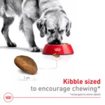 Royal Canin Size Health Nutrition Large Breed Adult Dry Dog Food - Image 4