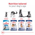 Royal Canin Size Health Nutrition Large Breed Adult Dry Dog Food - Image 6