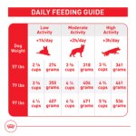 Royal Canin Size Health Nutrition Large Breed Adult Dry Dog Food - Image 9