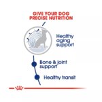 Royal Canin Size Health Nutrition Large Breed Aging 8+ Senior Dog Dry Food - 30 lb - Image 4