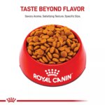 Royal Canin Size Health Nutrition Medium Breed Adult Dry Dog Food - Image 2