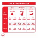 Royal Canin Size Health Nutrition Medium Breed Senior 7+ Dry Dog Food - 30 lb - Image 10