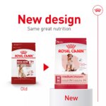 Royal Canin Size Health Nutrition Medium Breed Senior 7+ Dry Dog Food - 30 lb - Image 2