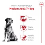 Royal Canin Size Health Nutrition Medium Breed Senior 7+ Dry Dog Food - 30 lb - Image 3