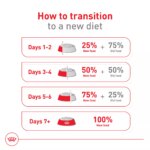 Royal Canin Size Health Nutrition Medium Breed Senior 7+ Dry Dog Food - 30 lb - Image 9