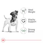 Royal Canin Size Health Nutrition Small 8+ Senior Dry Dog Food - Image 3