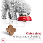Royal Canin Size Health Nutrition Small 8+ Senior Dry Dog Food - Image 4