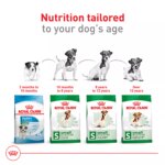 Royal Canin Size Health Nutrition Small 8+ Senior Dry Dog Food - Image 6