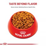 Royal Canin Size Health Nutrition Small Breed Adult Dry Dog Food - Image 2