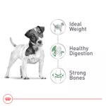 Royal Canin Size Health Nutrition Small Breed Adult Dry Dog Food - Image 3