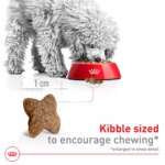 Royal Canin Size Health Nutrition Small Breed Adult Dry Dog Food - Image 4