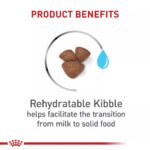 Royal Canin Size Health Nutrition Small Breed Starter Mother & Babydog Dry Food - 2.5 lb - Image 4