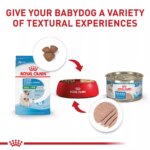 Royal Canin Size Health Nutrition Small Breed Starter Mother & Babydog Dry Food - 2.5 lb - Image 6