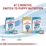 Royal Canin Size Health Nutrition Small Breed Starter Mother & Babydog Dry Food - 2.5 lb - Image 7