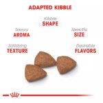 Royal Canin Size Health Nutrition Small Indoor Adult Dog Dry Food - Skin & Coat Health, 2.5 lb - Image 3