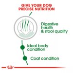Royal Canin Size Health Nutrition Small Indoor Adult Dog Dry Food - Skin & Coat Health, 2.5 lb - Image 4