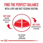 Royal Canin Size Health Nutrition Small Indoor Adult Dog Dry Food - Skin & Coat Health, 2.5 lb - Image 7