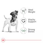 Royal Canin Small Breed Adult 8+ Senior Dry Dog Food - Image 3