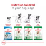 Royal Canin Small Breed Adult 8+ Senior Dry Dog Food - Image 6