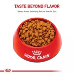 Royal Canin Small Puppy Dry Dog Food, Size Health Nutrition - Image 2