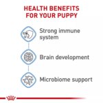 Royal Canin Small Puppy Dry Dog Food, Size Health Nutrition - Image 3