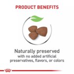 Royal Canin Small Puppy Dry Dog Food, Size Health Nutrition - Image 4