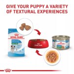 Royal Canin Small Puppy Dry Dog Food, Size Health Nutrition - Image 5