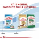 Royal Canin Small Puppy Dry Dog Food, Size Health Nutrition - Image 6