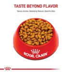 Royal Canin? Breed Health Nutrition Maltese Adult Dog Dry Food - Image 2